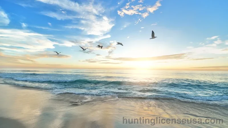Beautiful coastal landscape with blue water and natural scenery representing outdoor youth activities