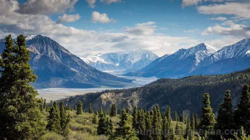 Hunter education certificate card being held with outdoor wilderness background