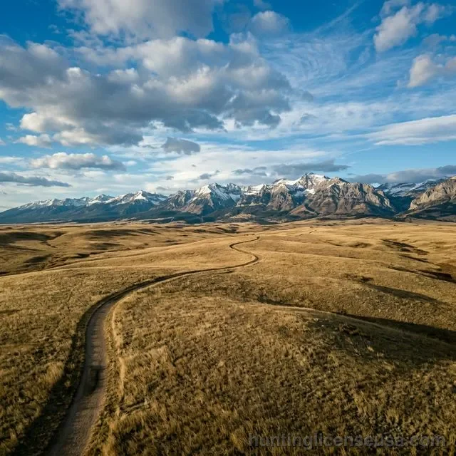 Vast golden prairie grassland with a winding trail leading to snow-capped mountain peaks under a dramatic sky representing public land hunting opportunities for veterans